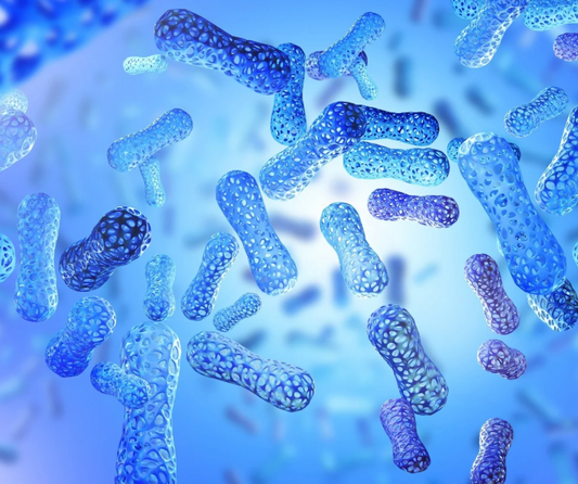The Power of Probiotics: Why Your Dog Needs Them