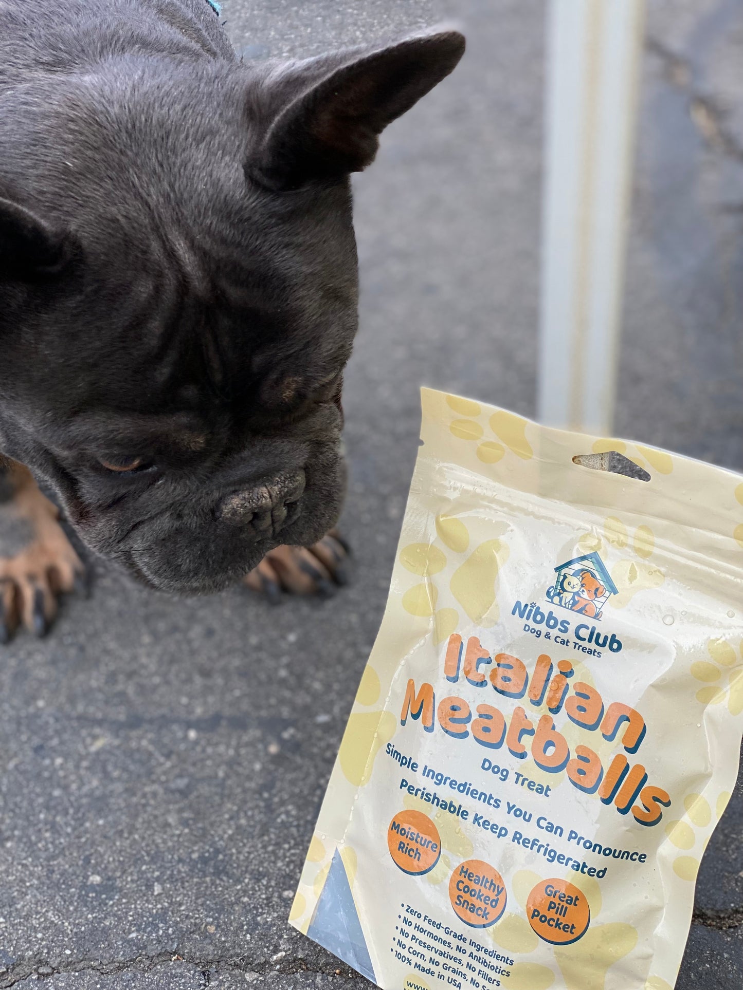 Italian Meatball Dog Treats