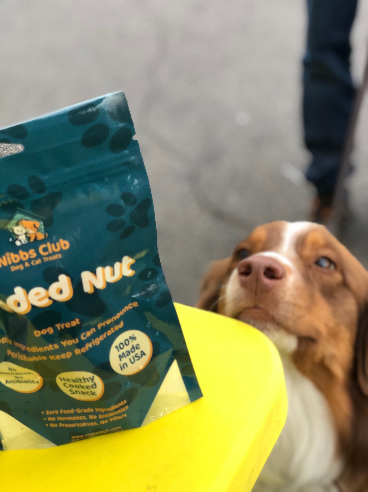 Loaded Nut Dog Treats