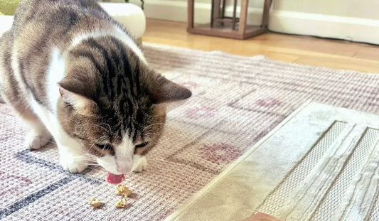 Rabbit: The Secret Superfood for Pets