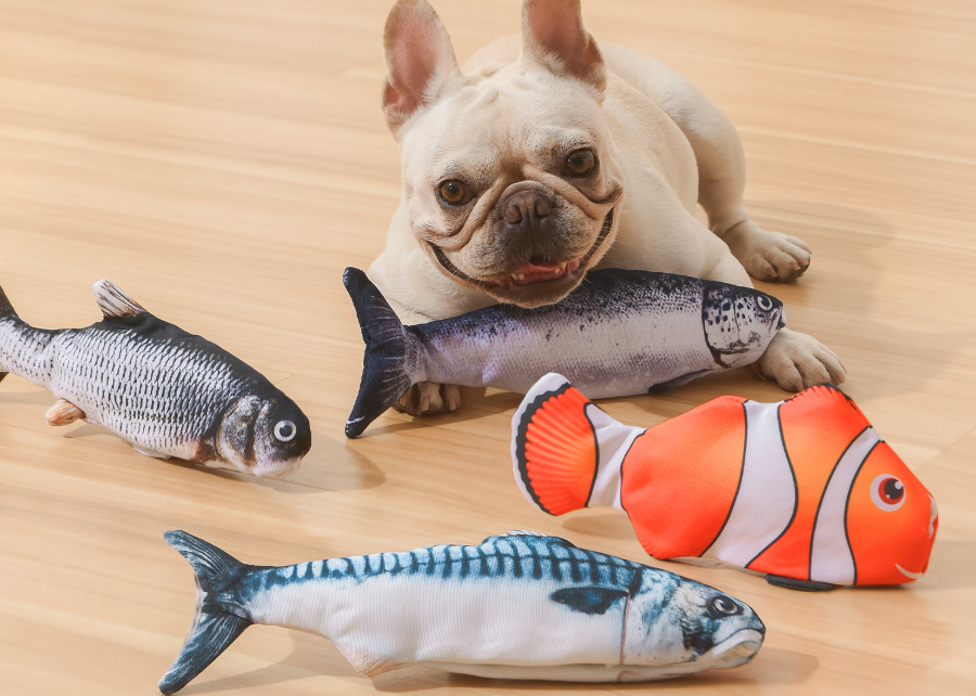 Why Salmon is a Superfood for Your Pets: The Power of Omega-3s, Fatty Acids, and Protein