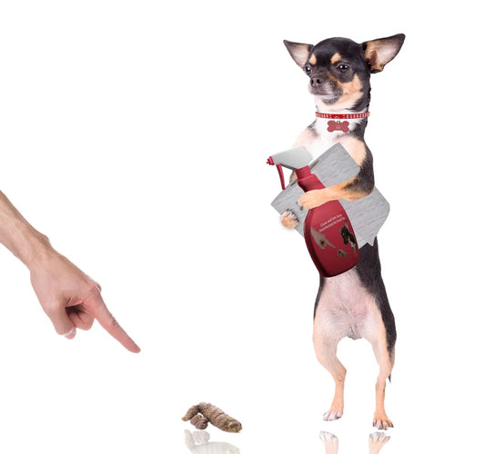 Puppy Potty Training and Kitty Litter Training