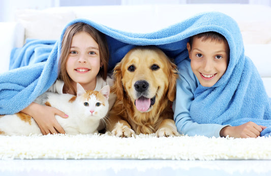 Integrating Dogs and Cats Into The Family.
