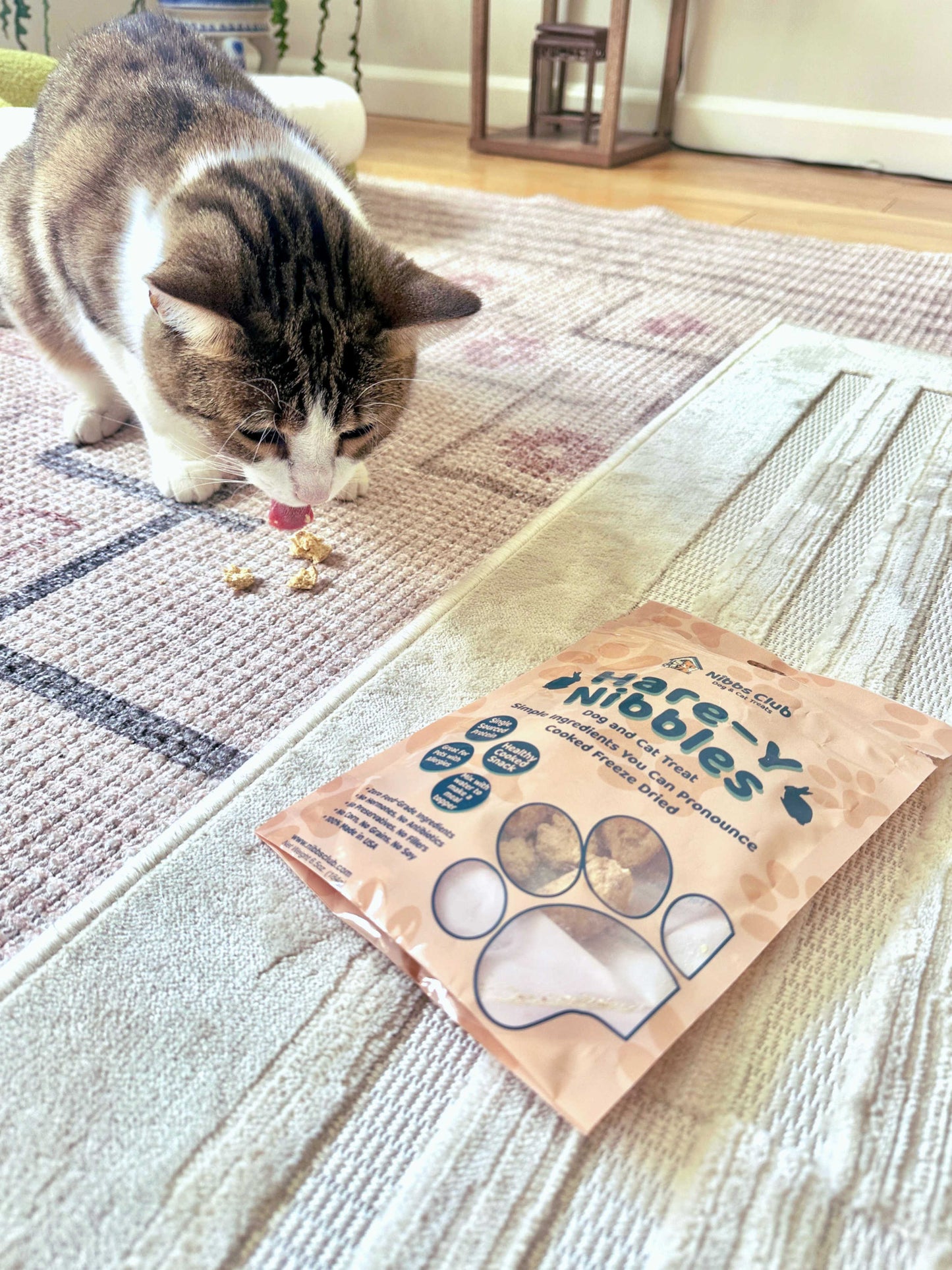 Cat eating Hare-Y Nibbles Dog and Cat Treat out of the bag 