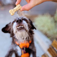 Load image into Gallery viewer, Loaded Nut Dog Treats
