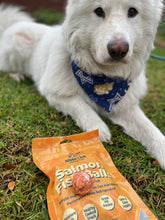 Load image into Gallery viewer, Dog and Cat Salmon Fish Ball Treats

