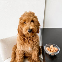 Load image into Gallery viewer, Dog and Cat Salmon Fish Ball Treats
